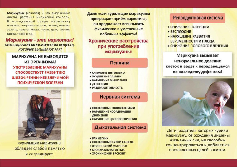 Памятка Марихуана.. Памятка Марихуана..